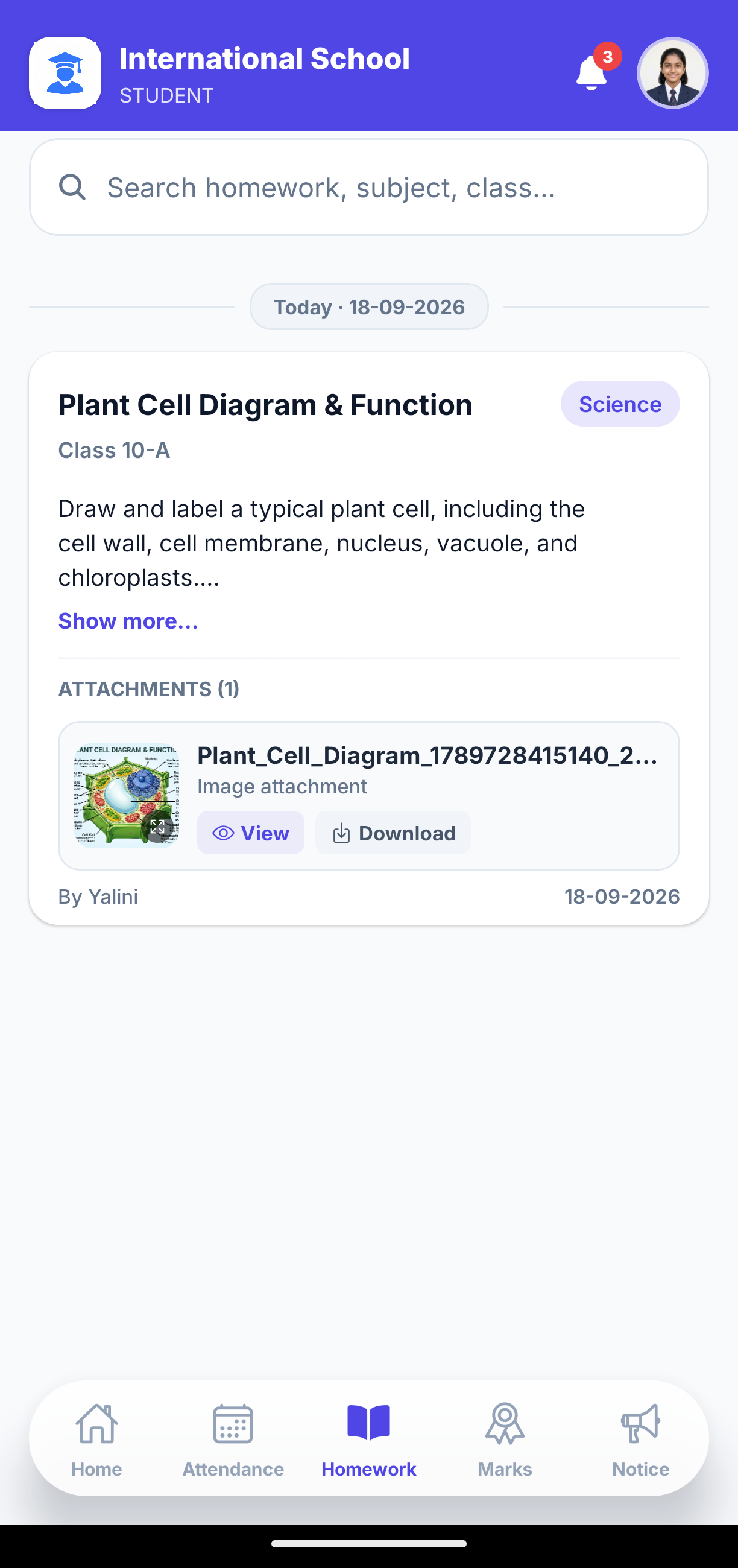Homework & Multi-Attachment Sharing Mobile View